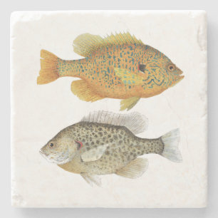 Sunfish Coater Stone Coaster