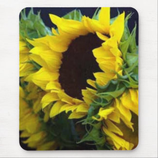 Sunfllower Study by debbieophotography Mouse Mat