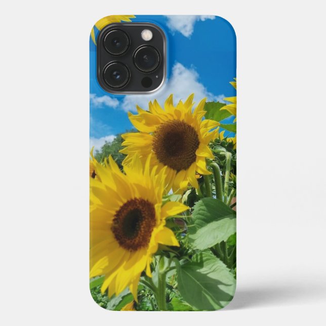 Sunfllowers iPhone Case (Back)
