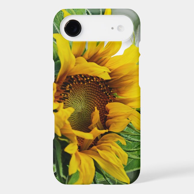 Sunflower (Back)