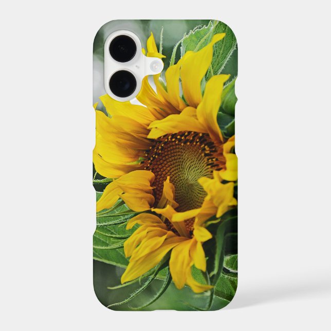 Sunflower (Back)