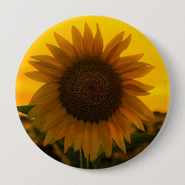 Sunflower 🌻  10 cm round badge (Front)