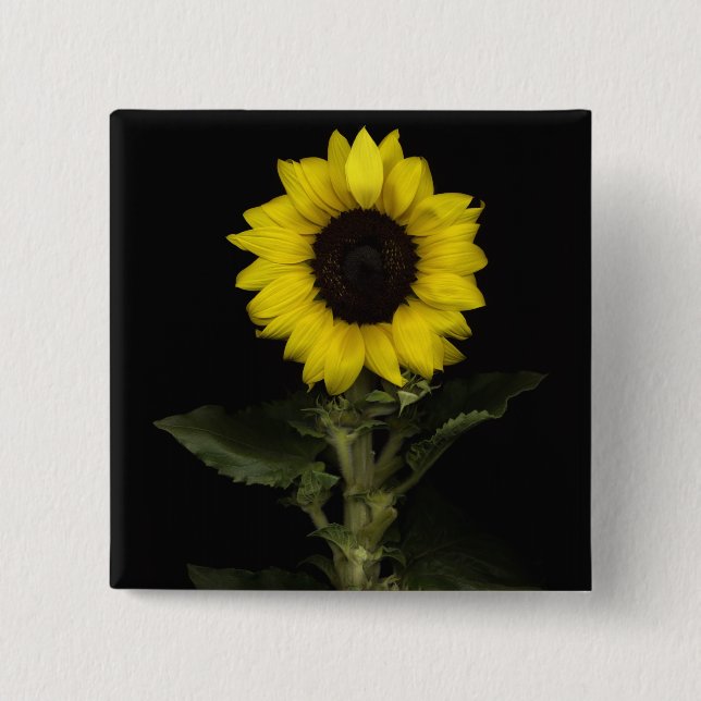 Sunflower 11 15 cm square badge (Front)