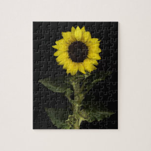 Sunflower 11 jigsaw puzzle