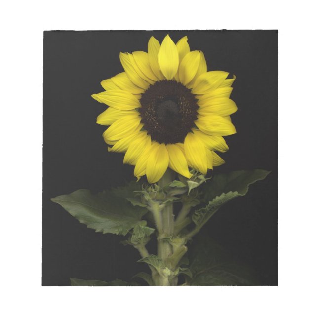 Sunflower 11 notepad (Front)