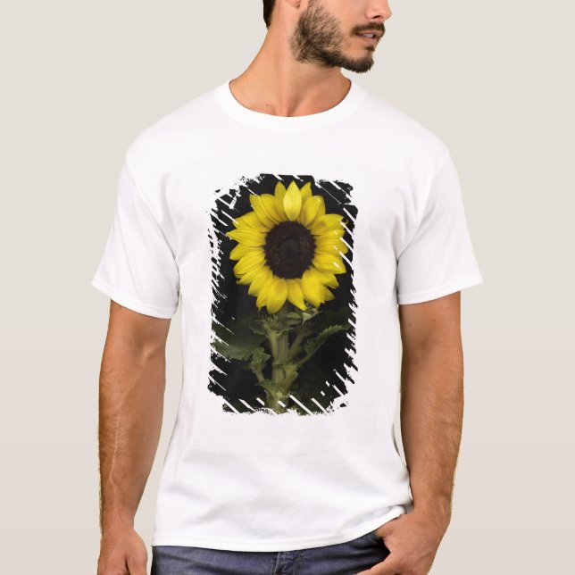Sunflower 11 T-Shirt (Front)