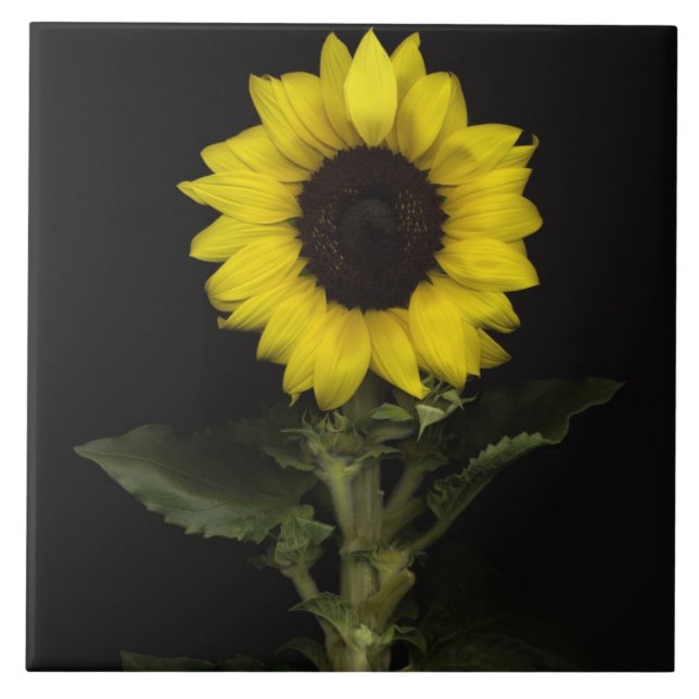 Sunflower 11 tile (Front)