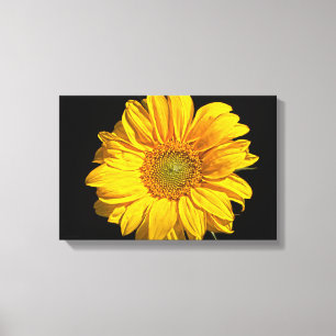 Sunflower 16.50x11(41.25x27.5cm) waccn canvas print