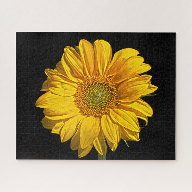 Sunflower 16x20 520pc jpcna jigsaw puzzle (Horizontal)