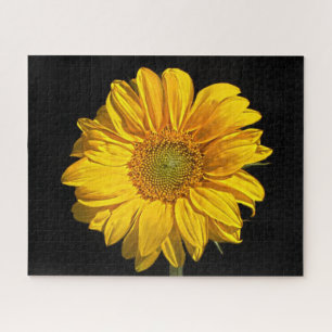 Sunflower 16x20 520pc jpcnm jigsaw puzzle