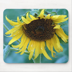 Sunflower 2 mouse mat