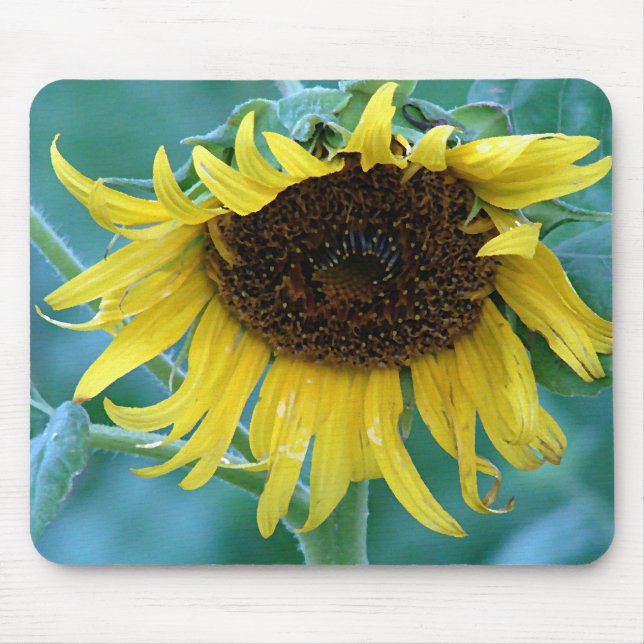 Sunflower 2 mouse mat (Front)