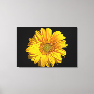 Sunflower 36x24 (90x60cm) waccna canvas print