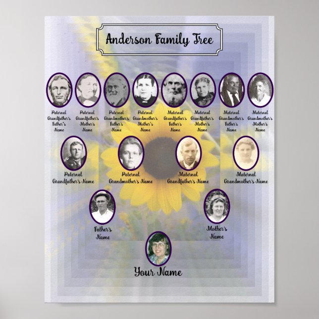 Sunflower 3D Design with Oval Ancestor Photos Poster (Front)