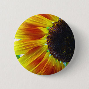 Sunflower 6 Cm Round Badge