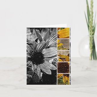 Sunflower Abstract Card