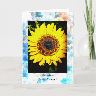 Sunflower All Occasion Card, 5" x 7" Folded Card