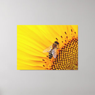 Sunflower and Bee Canvas Print