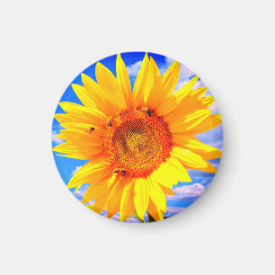 Sunflower and Bees Magnet