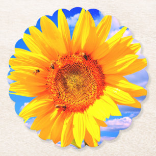 Sunflower and Bees on Blue Sky Paper Coaster