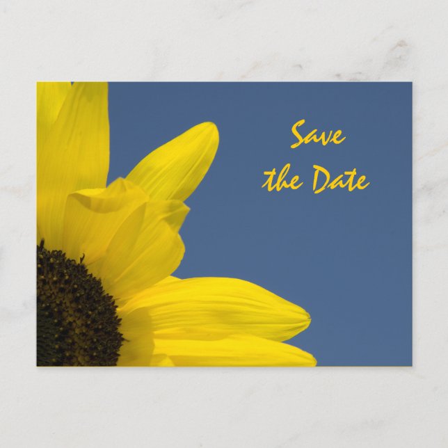 Sunflower and Blue Sky Wedding Save the Date Announcement Postcard (Front)