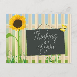 Sunflower and Butterfly Postcard