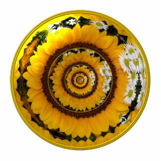 Sunflower and Daisies Under Glass Standing Photo Sculpture