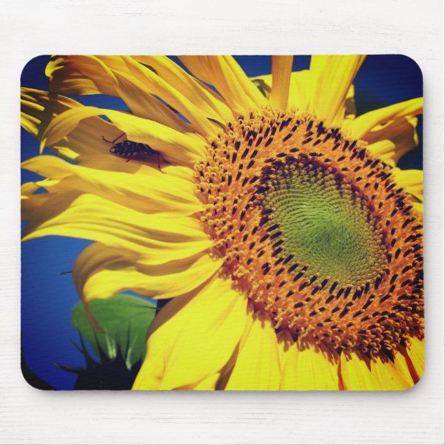 Sunflower And Guest Flower  Mouse Mat (Front)