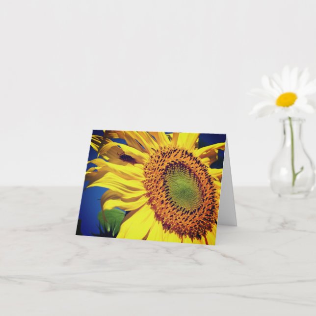 Sunflower And Guest Nature Note Card (Small Plant)