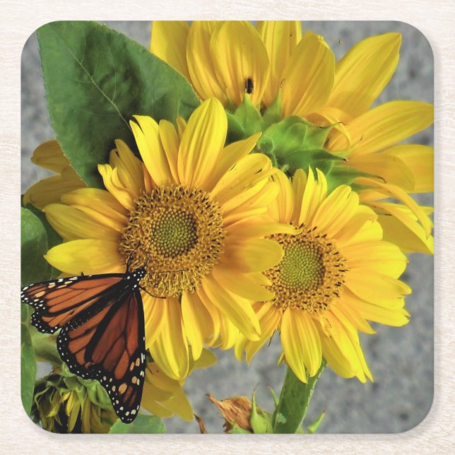 Sunflower and Monarch Butterfly Coaster (Front)