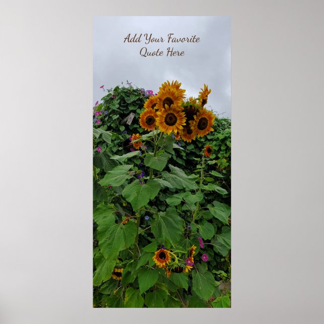 Sunflower and Morning Glory Photography Add Quote Poster (Front)