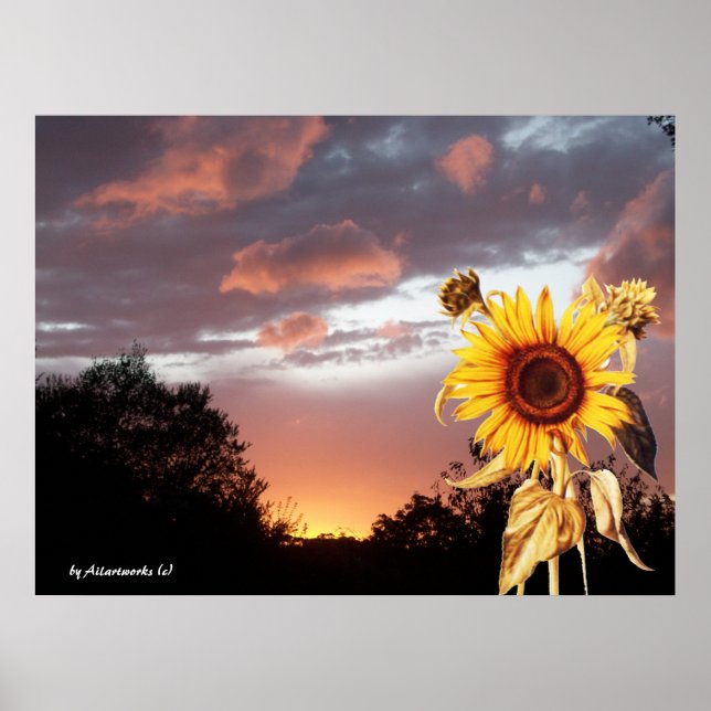 SUNFLOWER AND PINK SUMMER SUNSET POSTER (Front)
