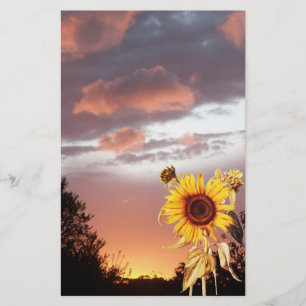 SUNFLOWER AND PINK SUMMER SUNSET STATIONERY