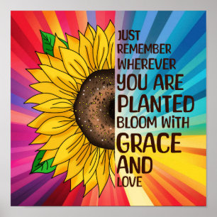 Sunflower and Quote   Wherever you are Planted Poster