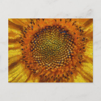 Sunflower and Seeds Bold Brush Strokes Painting Postcard