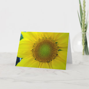 Sunflower and Seeds, Spiral, Golden Ratio Card
