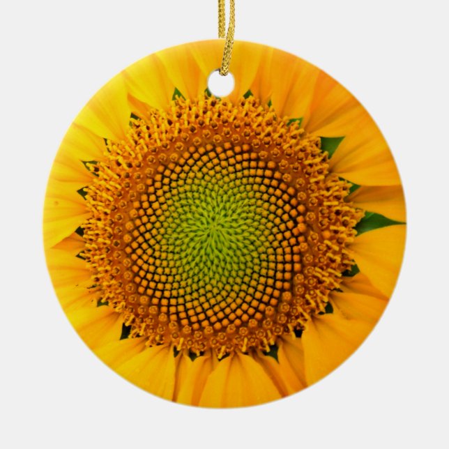 Sunflower and Seeds, Spiral, Golden Ratio  Ceramic Tree Decoration (Front)