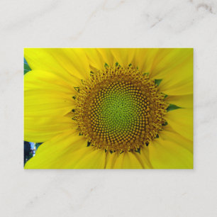 Sunflower and Seeds, Spiral, Golden Ratio Enclosure Card