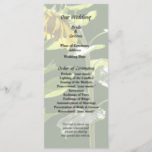 Sunflower and Sparrow Programme