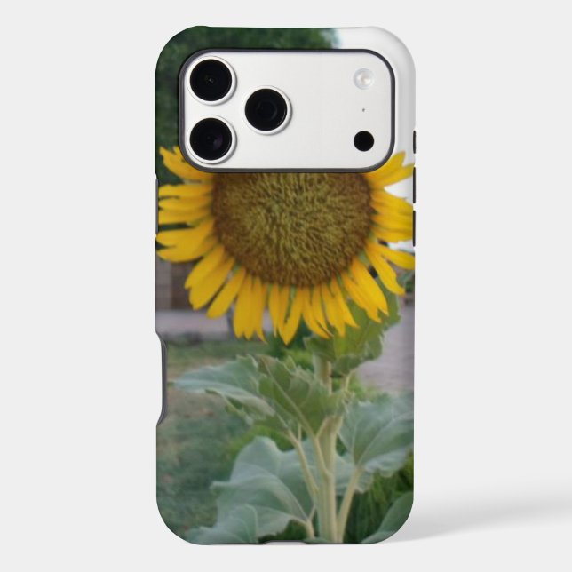 Sunflower Art Print (Back)