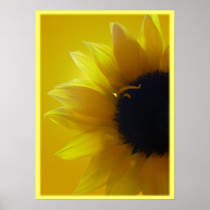 Sunflower Art Print Beautiful Flower Art Print
