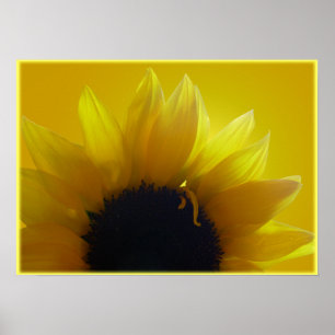 Sunflower Art Print Beautiful Flower Art Print