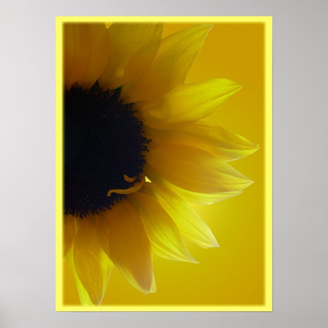 Sunflower Art Print Beautiful Flower Art Print (Front)