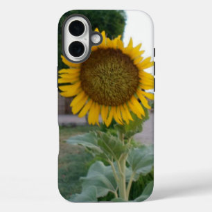 Sunflower Art Print iPhone 16 Plus Case