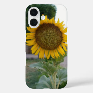 Sunflower Art Print iPhone 16 Case
