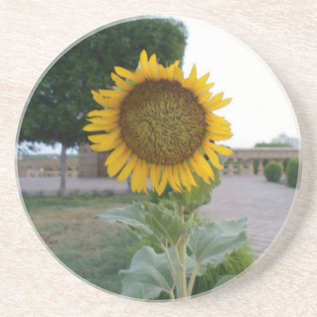 Sunflower Art Print Coaster (Front)
