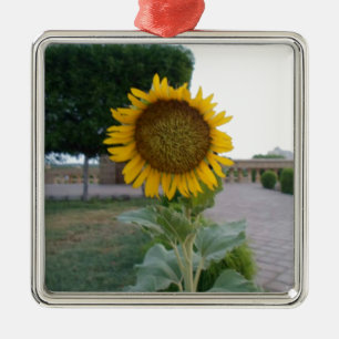 Sunflower Art Print Metal Tree Decoration