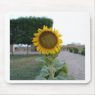 Sunflower Art Print Mouse Mat