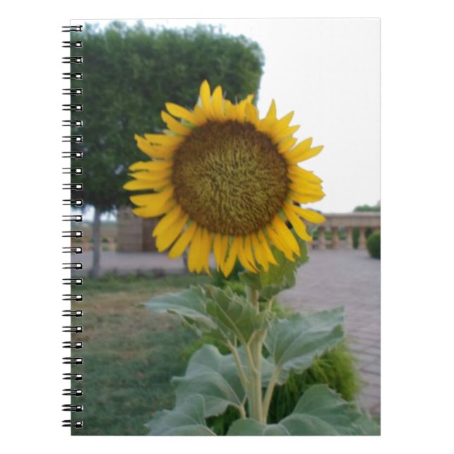 Sunflower Art Print Notebook (Front)