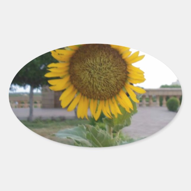 Sunflower Art Print Oval Sticker (Front)